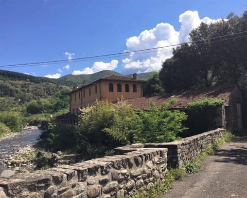 View (from property/room), River view