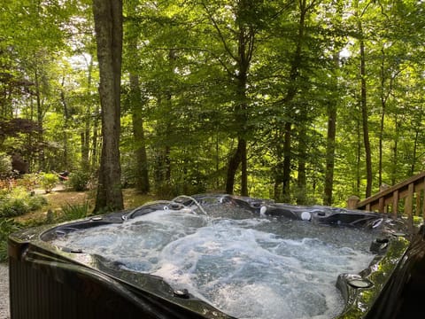 Natural landscape, Garden, Hot Tub, Garden view