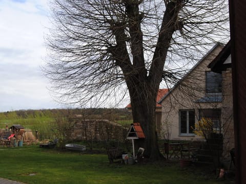 Garden, Garden view