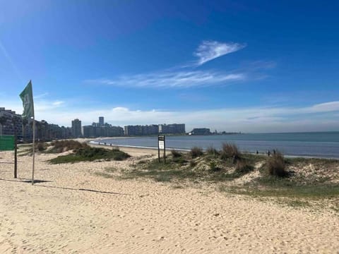 Nearby landmark, Natural landscape, Beach