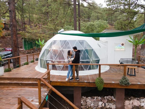 Tiny Pines A-Frame Cabin, Domes and Luxury Glamping Site Chalet in Francisco Morazán Department