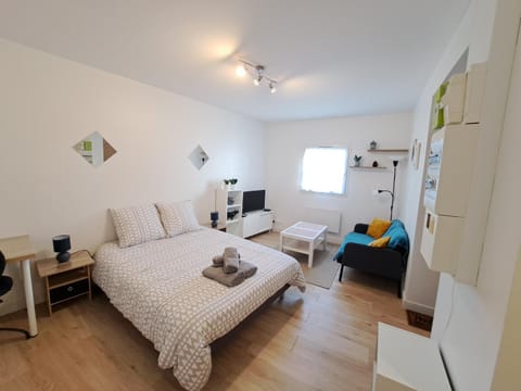 Bed, TV and multimedia, Living room, Photo of the whole room, Seating area, Bedroom, hair dresser