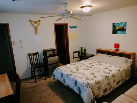 Golden Sunflower's Apt B1 Apartment in Lawton