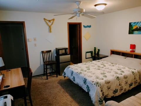 Golden Sunflower's Apt B1 Apartment in Lawton