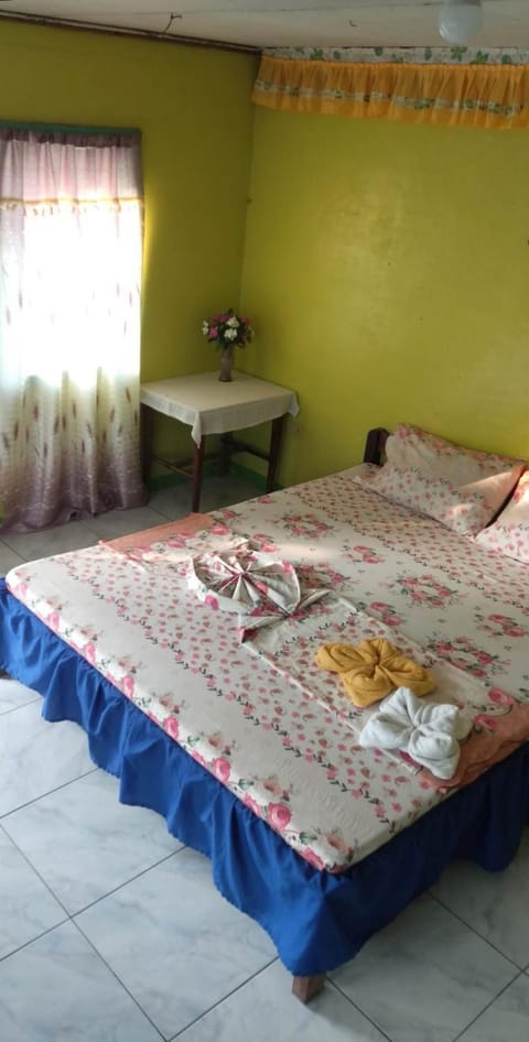A's Place Palawan Bed and Breakfast in San Vicente