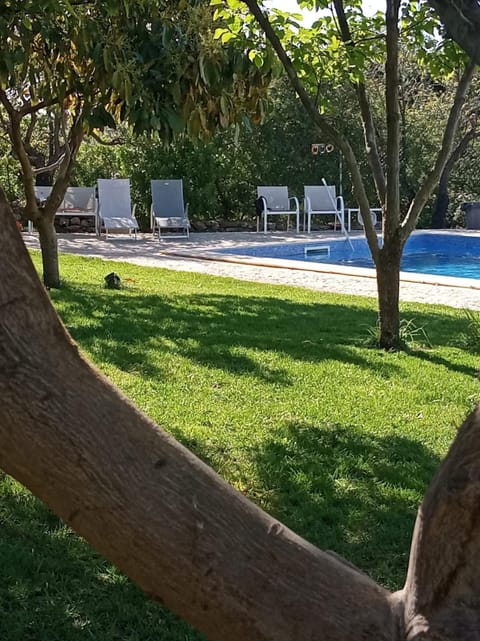 Garden, Pool view