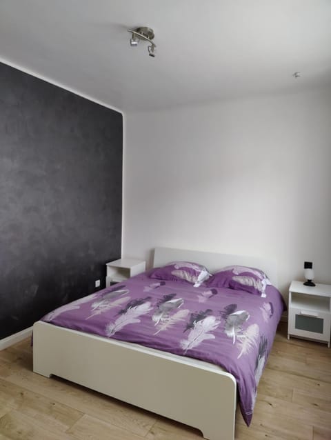 Le Purple, appartement de standing en hypercentre Condo in Sarreguemines