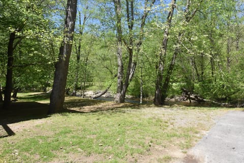 Riverside Trout Retreat Apartment in Helen