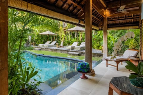 Garden view, Pool view, Swimming pool, sunbed