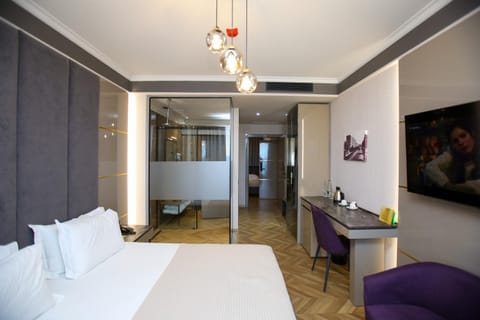Bed, TV and multimedia, Living room, Photo of the whole room, Bedroom