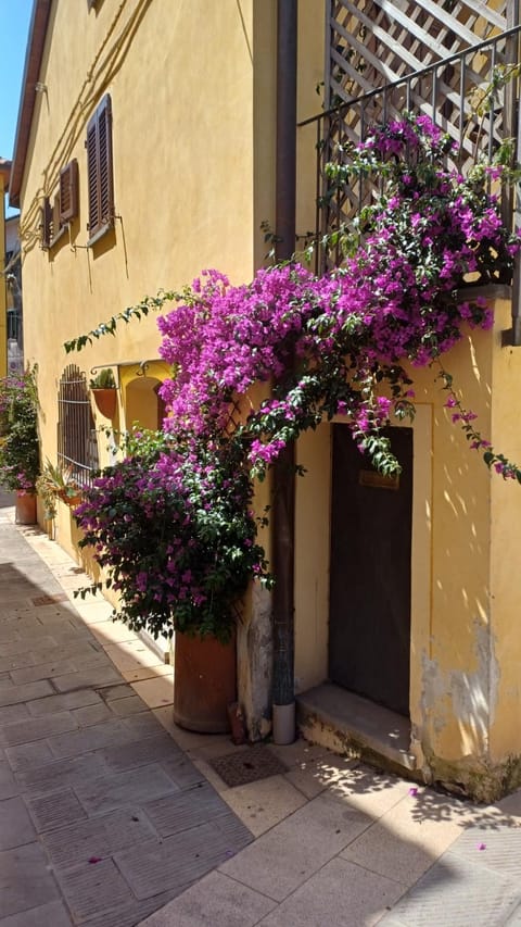 La cicala Apartment in Rosignano Marittimo