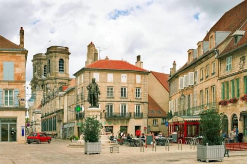 Appartement cosy centre ville Apartment in Langres