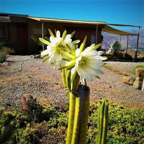 Santuario Cósmico Chalet in Coquimbo Region