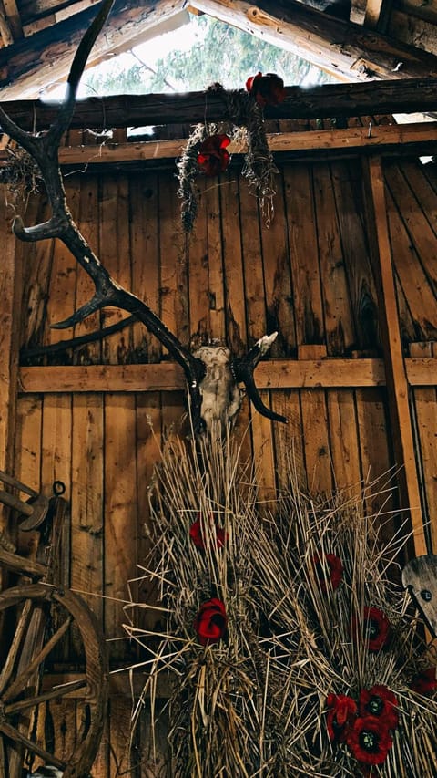 Stary Bór House in Zakopane