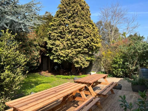 Garden, Garden, Seating area, Garden view