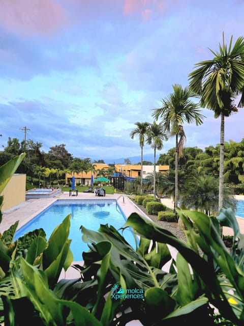 Day, Pool view, Swimming pool