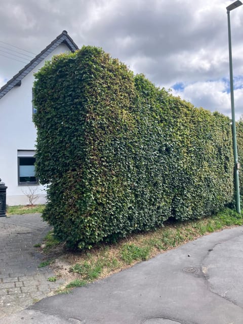 Street view, Parking