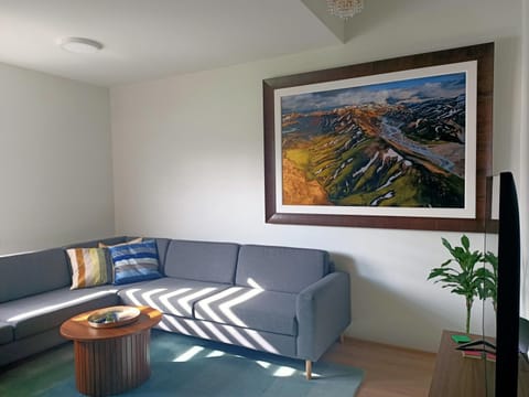 Puffin Nest, Superior Apartment Condo in Reykjavik