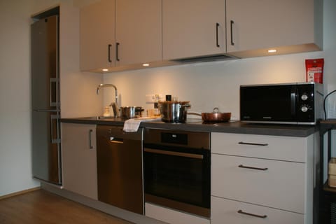 Kitchen or kitchenette, dishwasher, oven, stove