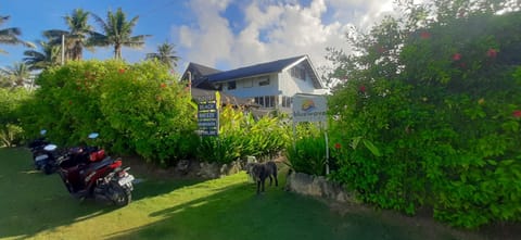 Natural landscape, Garden view