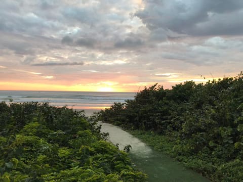 Beach, Sea view, Sunrise