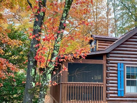Log Cabin Walkable to Lake Lure & Chimney Rock - Blue Skies Haus in Chimney Rock