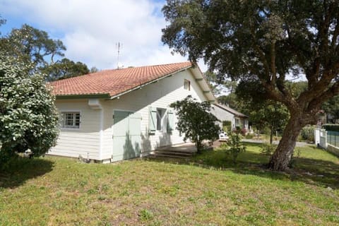 Property building, Natural landscape, Garden