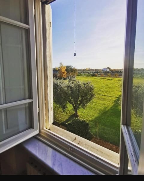 Villa Marinsky Pietrasanta , Lucca Bed and Breakfast in Pietrasanta