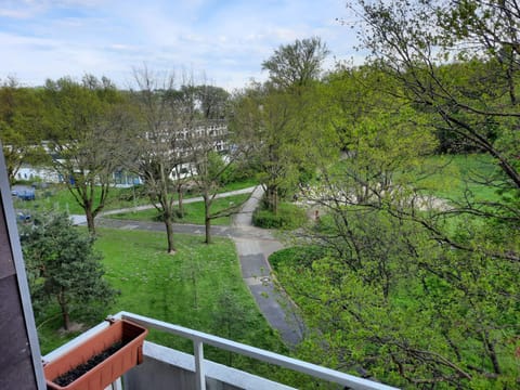 Natural landscape, Garden view