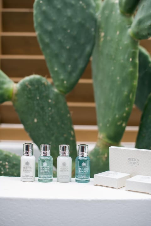 ABA Ηospitalité Paros- The Luxury Suite, Naousa, Paros Apartment in Naousa