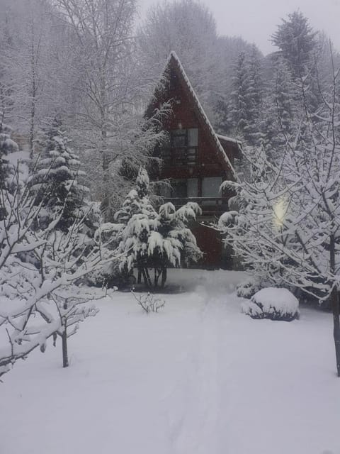 Winter, Inner courtyard view