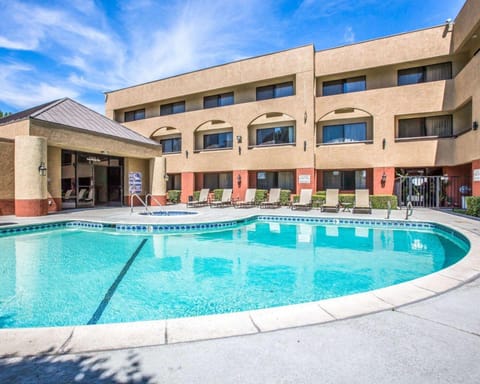 Swimming pool [outdoor]