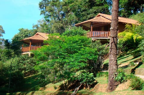 Surrounding environment