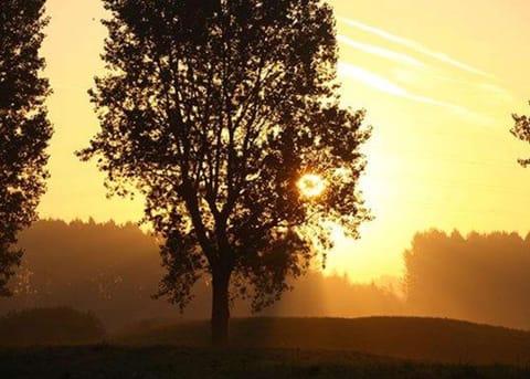 Surrounding environment