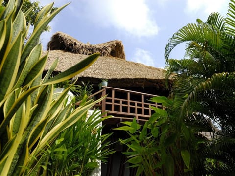Exterior view
