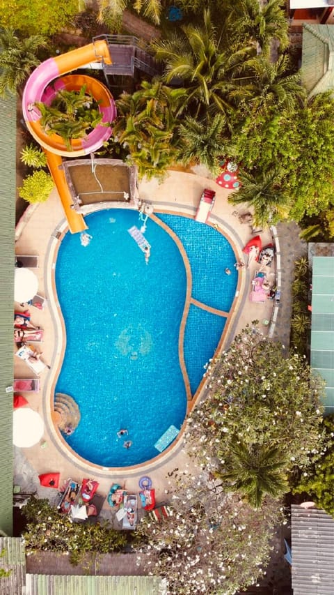 Swimming pool [outdoor]