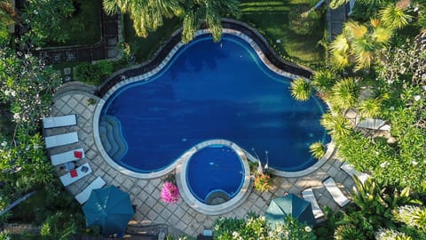 Swimming pool [outdoor]