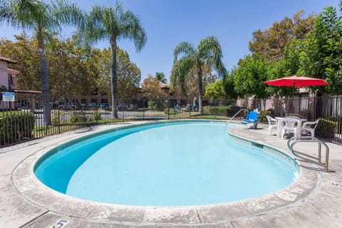 Swimming pool [outdoor]