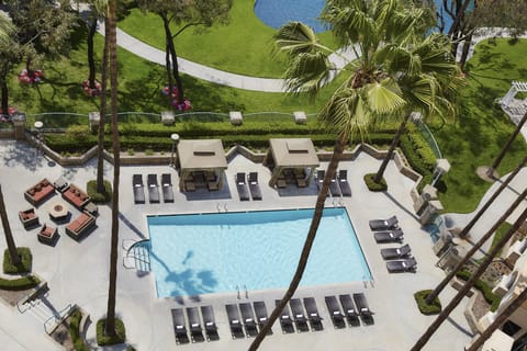 Swimming pool [outdoor]