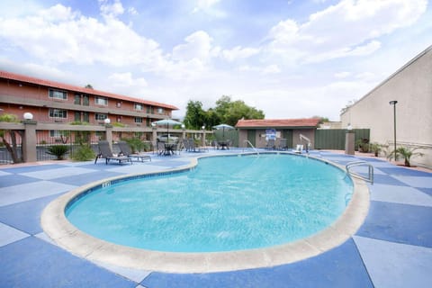 Swimming pool [outdoor]