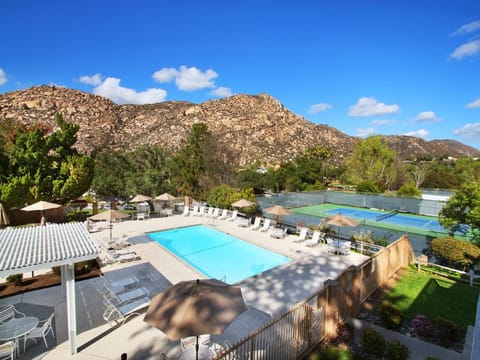 Swimming pool [outdoor]