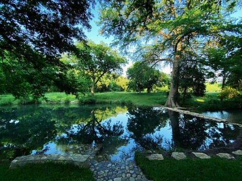 Surrounding environment