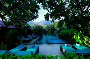 Swimming pool [outdoor]