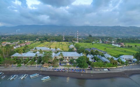View