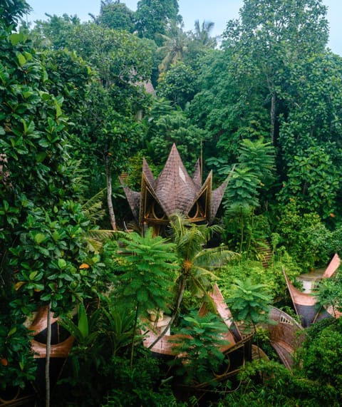 Surrounding environment