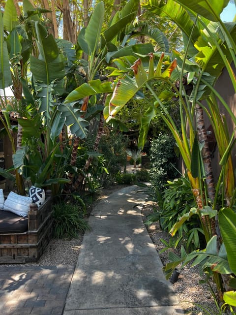 Surrounding environment
