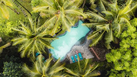 Swimming pool [outdoor]