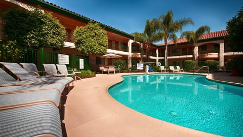 Swimming pool [outdoor]