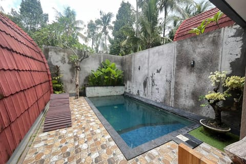 Swimming pool [outdoor]