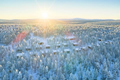 Surrounding environment